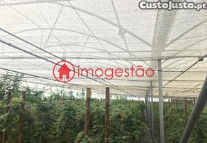 imagem_16