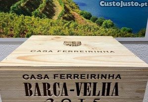 imagem_1