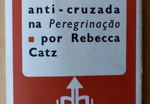 Fernão Mendes Pinto, sátira e anti-cruzada...