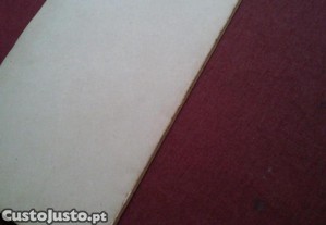 imagem_12