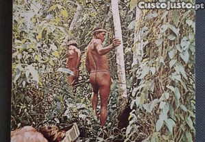 imagem_1