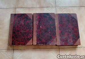 imagem_3