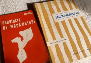 Dois livros antigos sobre Moçambique