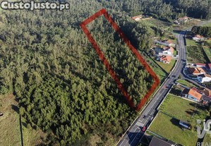 Terreno em Beduído e Veiros