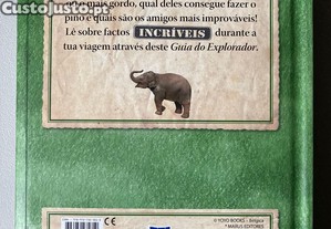imagem_4