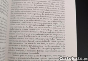 imagem_6