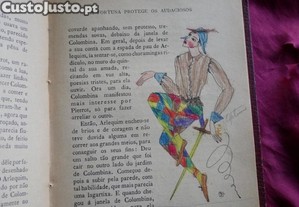 imagem_6