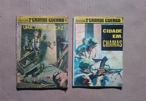 imagem_2