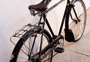 Bicicleta Pasteleira MARTANO de LUXO