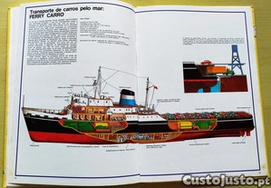 imagem_10