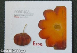 imagem_6