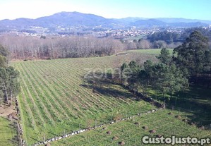 Quinta Agrícola 13300M2 Em Barreiros, Amares