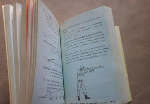 imagem_7