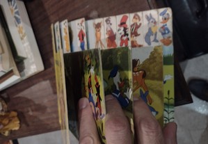 imagem_3