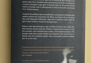 imagem_4