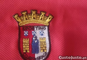 imagem_8