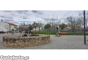 imagem_14