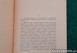 imagem_8