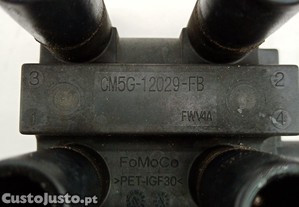 imagem_3