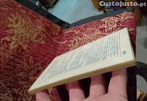 imagem_7
