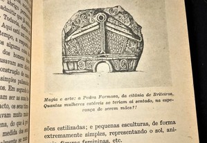 imagem_6