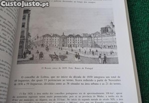 imagem_7
