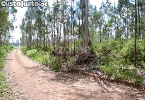 Terreno Rustico Junto À A25