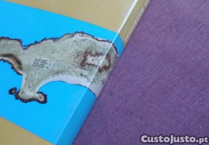 imagem_4