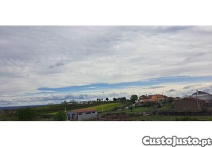 imagem_14