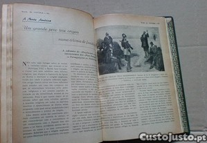 imagem_7