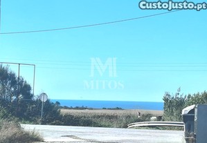 imagem_5