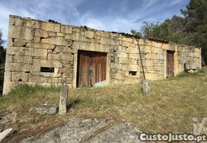 imagem_11
