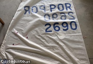 imagem_1