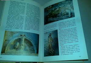 imagem_5