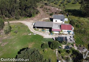 Terreno em Amiais de Baixo