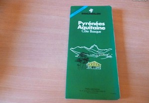 Guide Michelin Pyrénées Aquitaine (em francês)