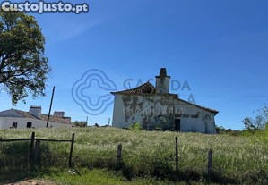 imagem_29