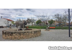 imagem_15