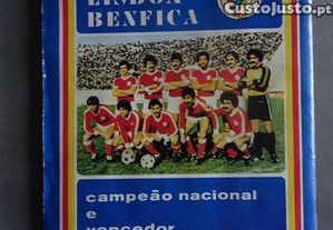 imagem_6