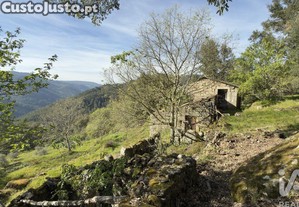 imagem_13