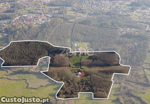 Quinta Secular Em Travanca, Sta Maria Da Feira