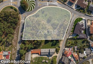 Terreno Urbanizável Com 6968 M², Em Oliveira De...