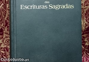 imagem_1