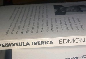 imagem_7