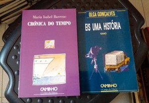 Obras de Maria Isabel Barreno e Olga Gonçalves