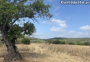 Terreno em Santa Catarina da Fonte do Bispo de 10000,00 m²