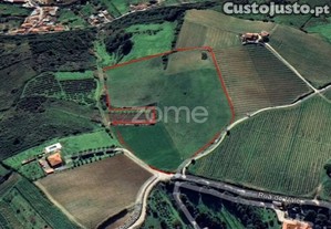 Terreno Rústico Em Lugar Dos Carneiros,...