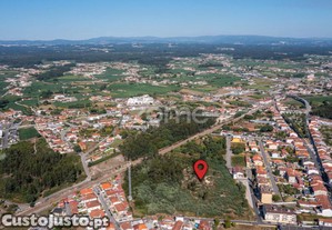 Terreno Para Construção Com 9.000M2, Ovar.