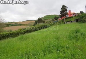 imagem_17