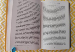 imagem_6